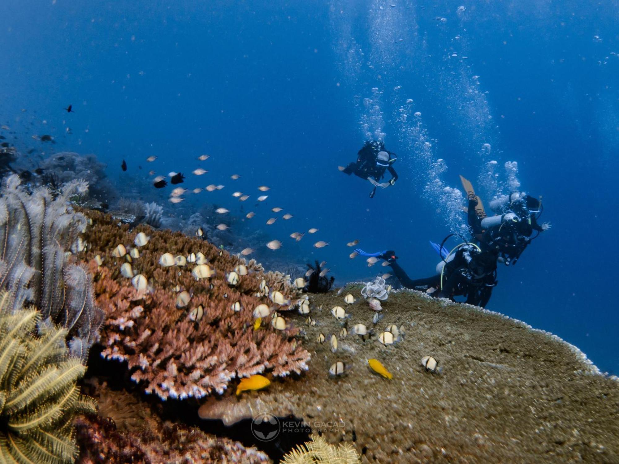 Badladz Beach And Dive Resort Puerto Galera Εξωτερικό φωτογραφία